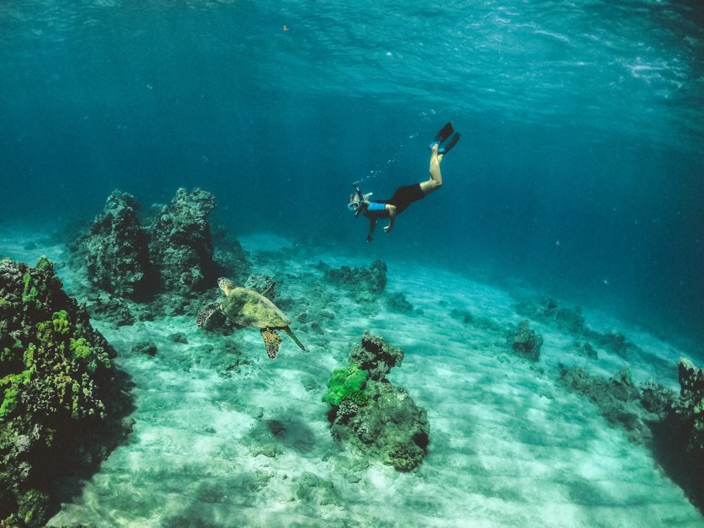 Is a Phinisi Charter in Bali Worth It?