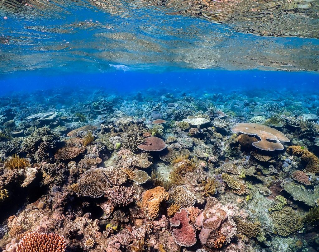 Nusa Penida & Lembongan by Phinisi