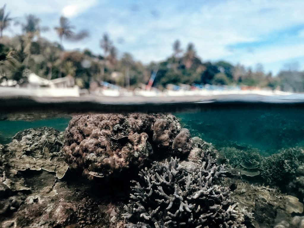 Sewa Phinisi Bali: Panduan & Tips
